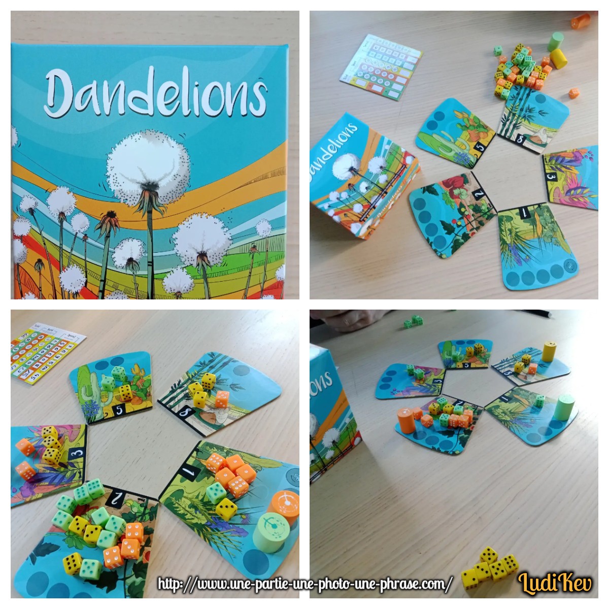 Dandelions