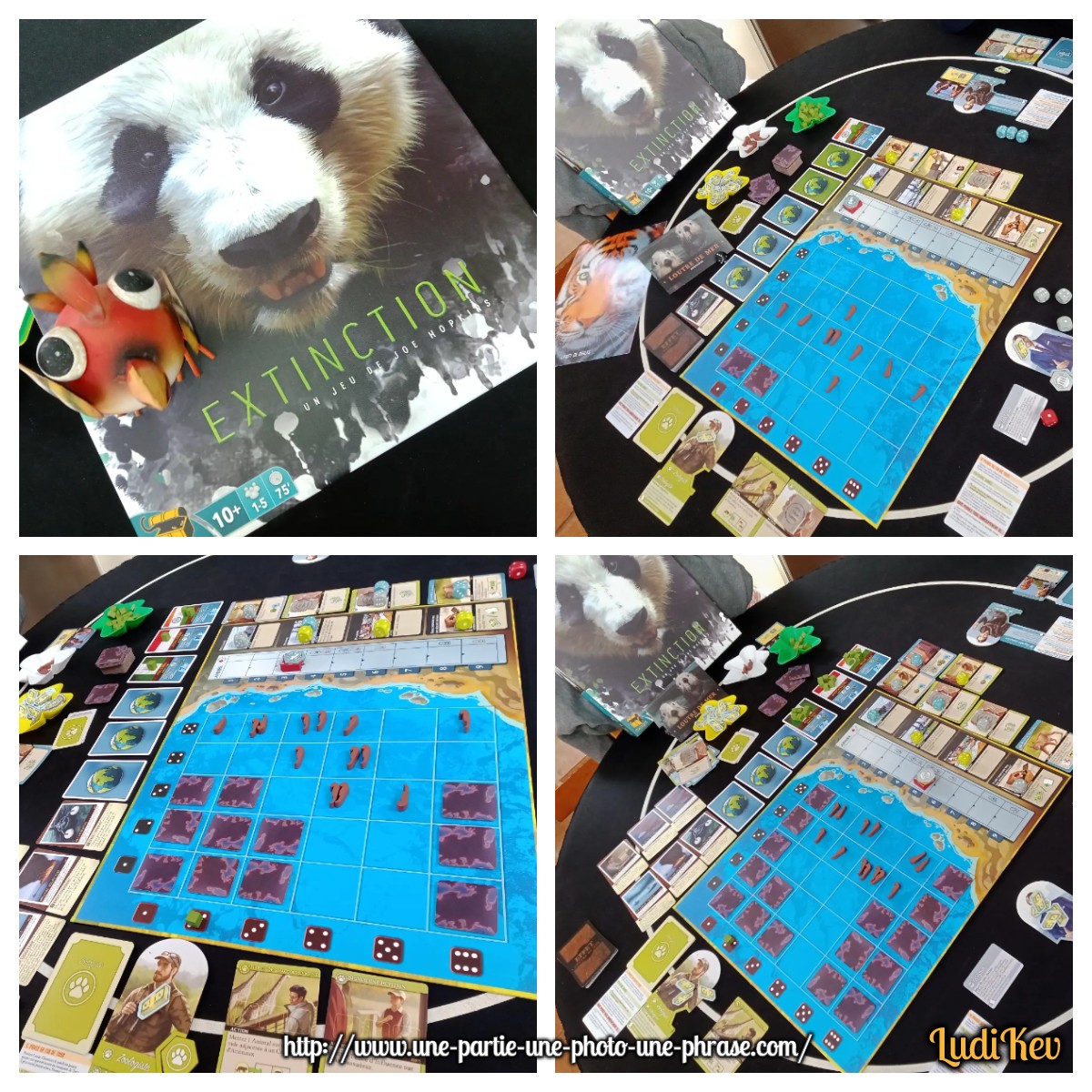 Extinction loutre
