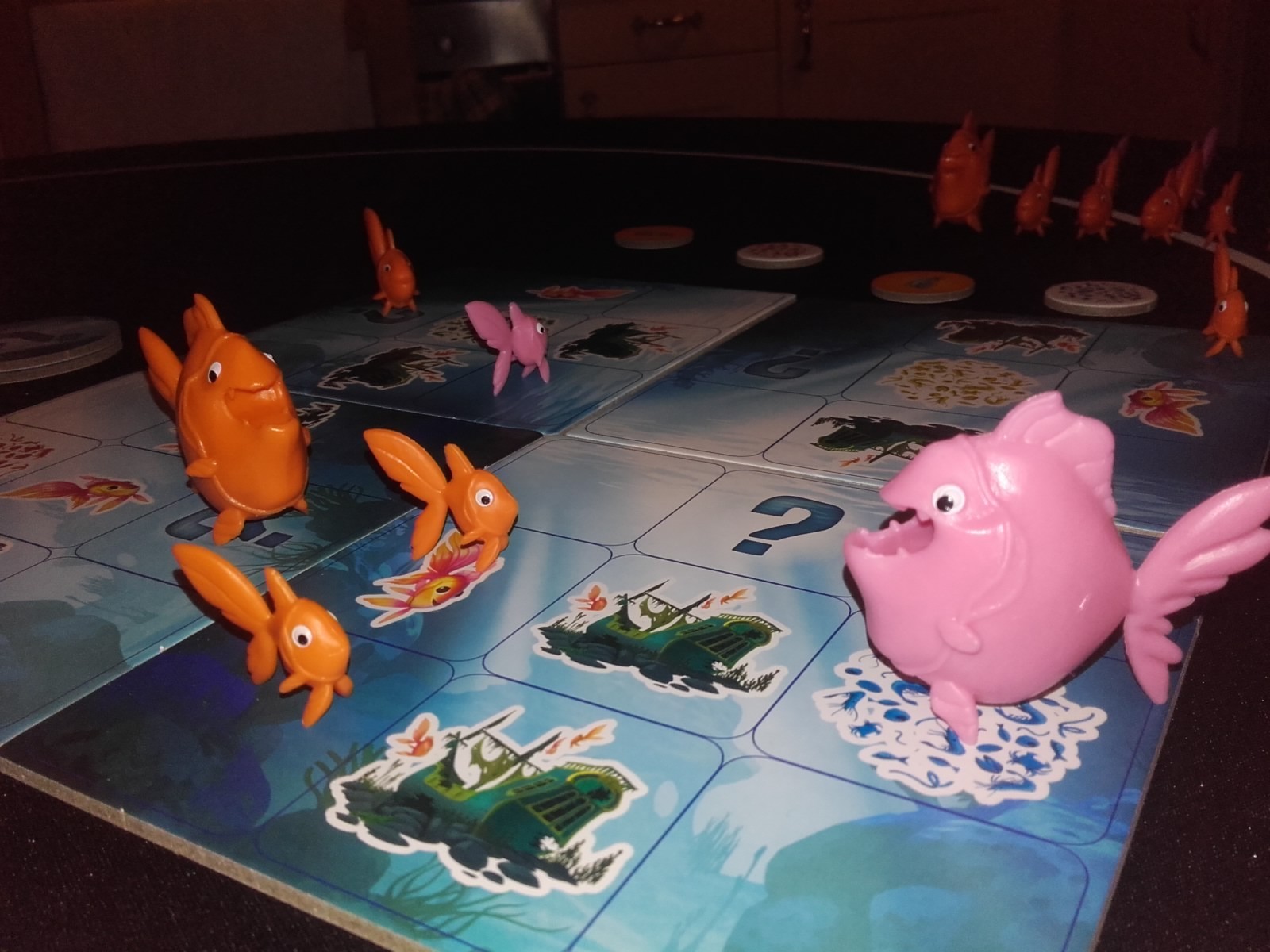 Little Big Fish