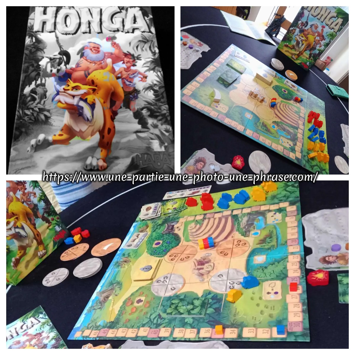 Honga