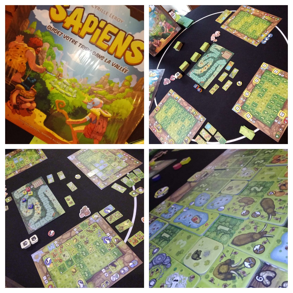 Sapiens